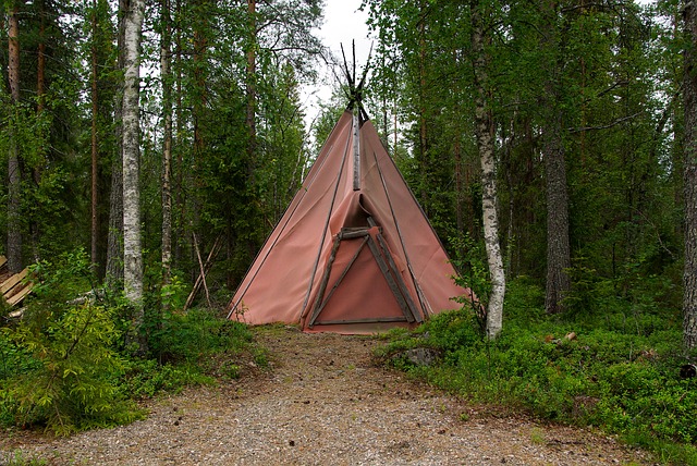 Bild Tipi